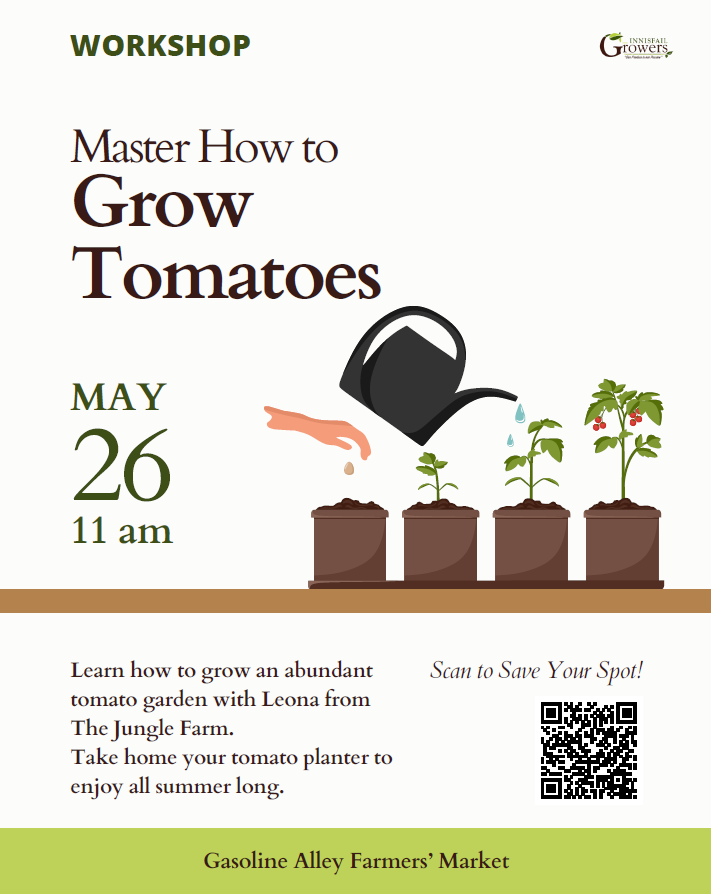 Jungle Farm Tomato Workshop