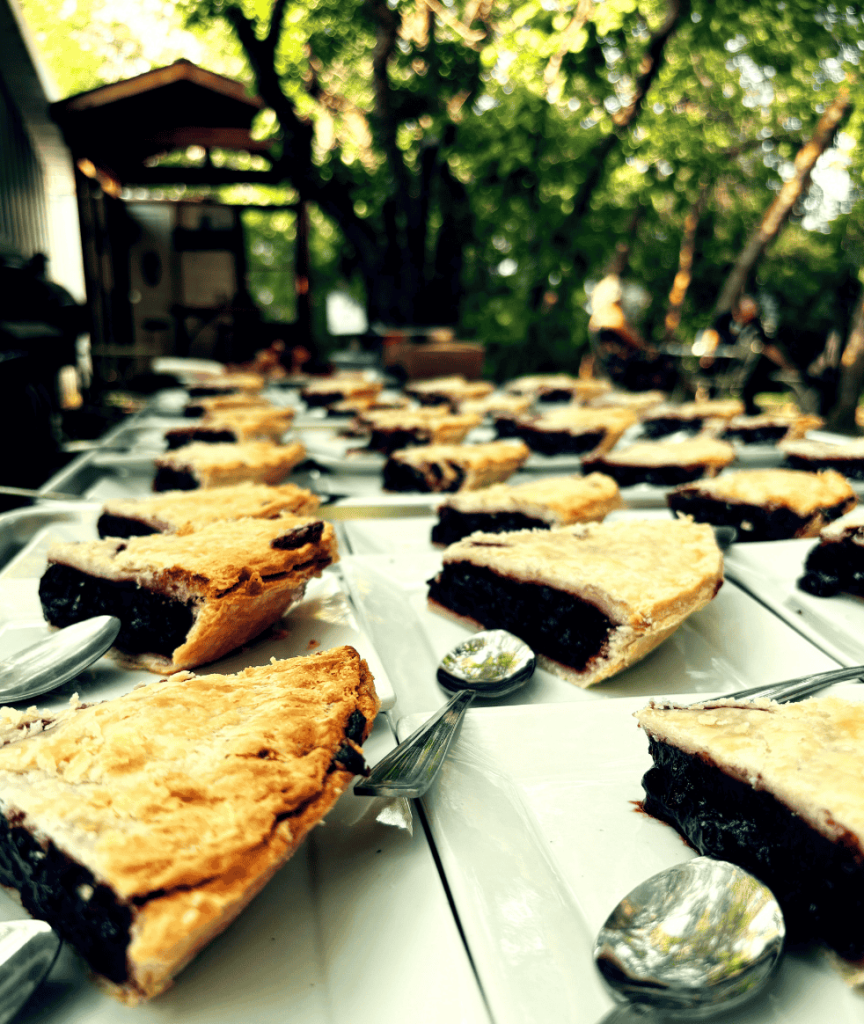 Saskatoon pie